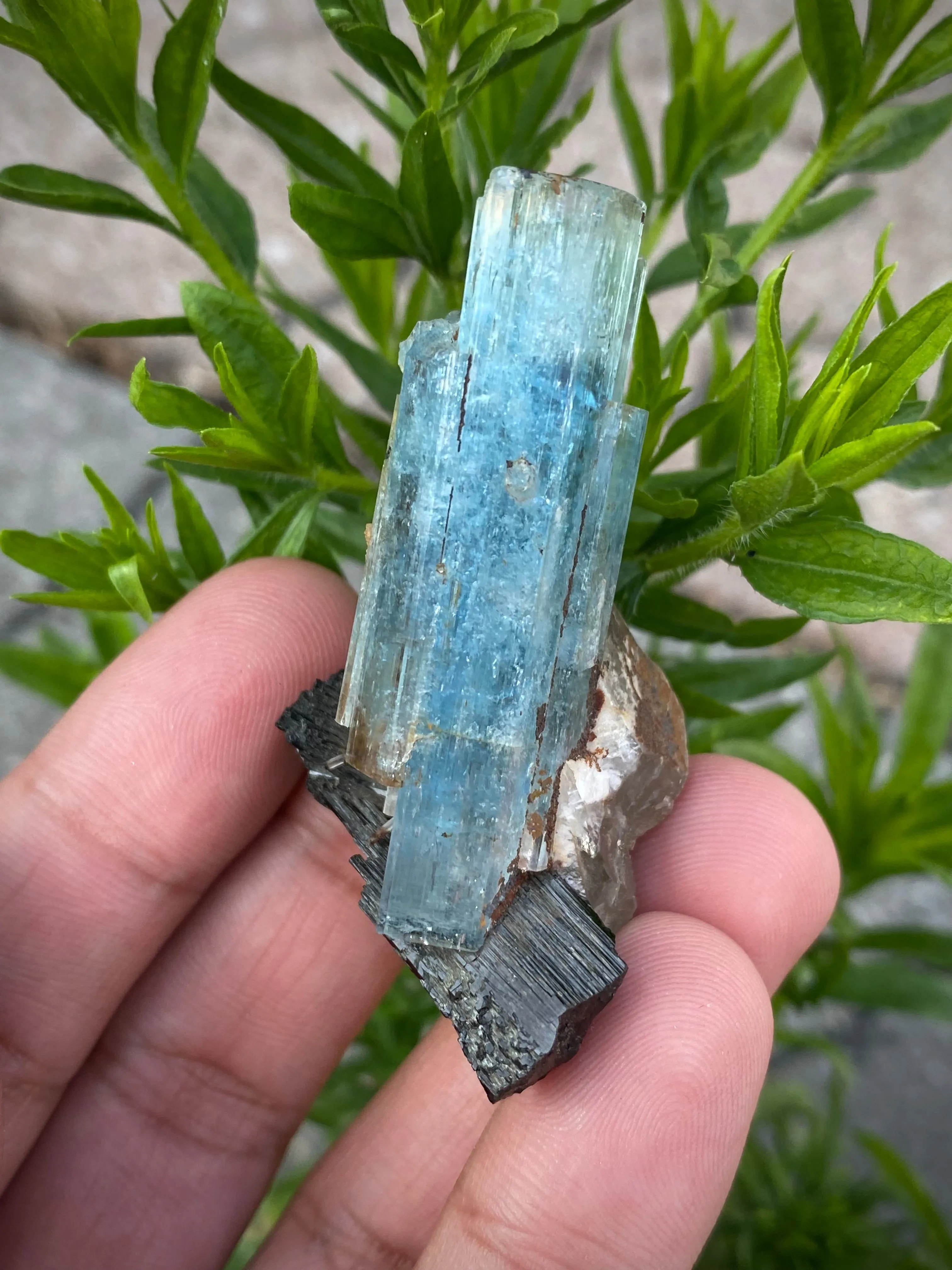 Aquamarine Specimen with Black Tourmaline from Erongo Mountain, Erongo Region, Namibia