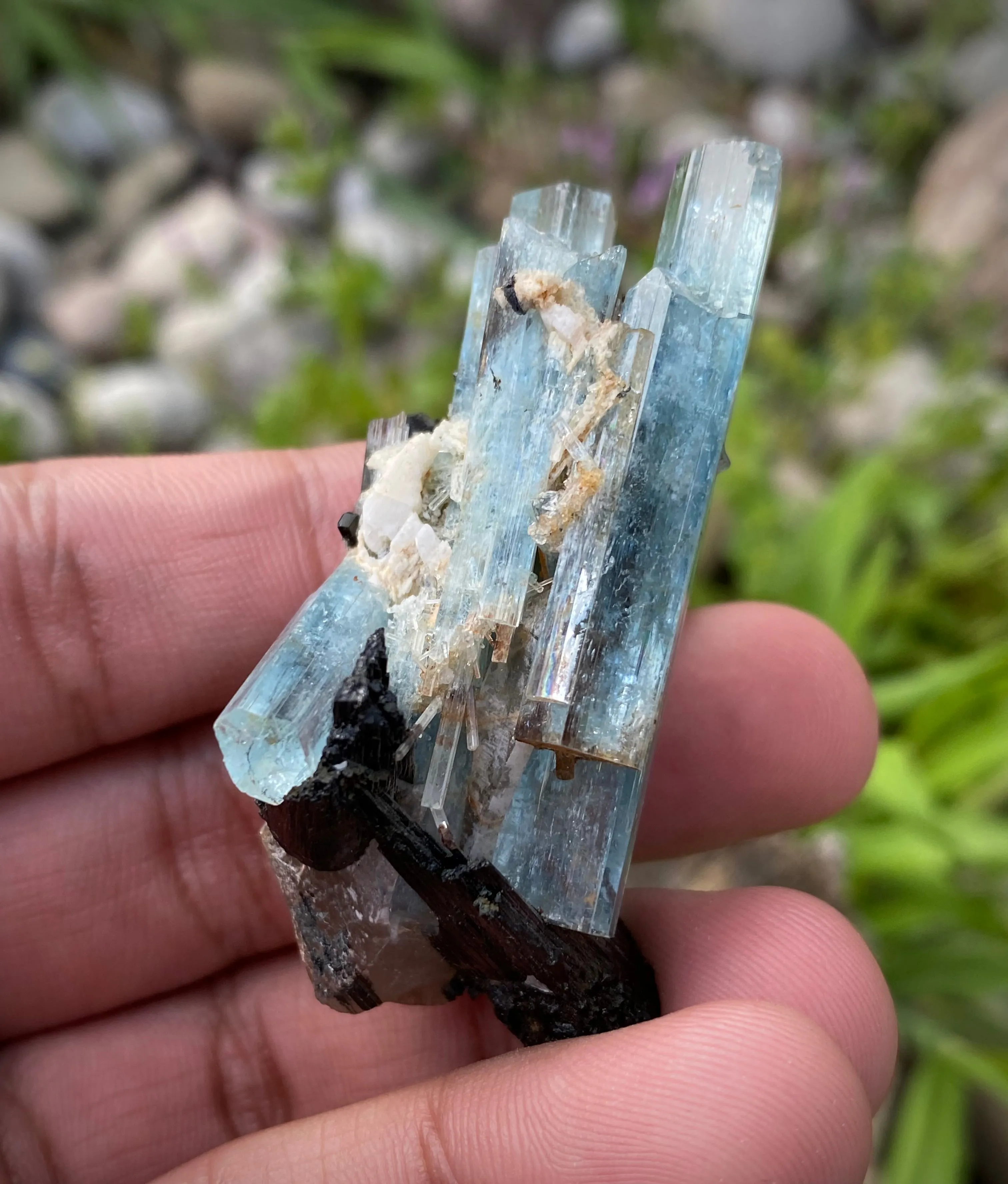Aquamarine Specimen with Black Tourmaline from Erongo Mountain, Erongo Region, Namibia