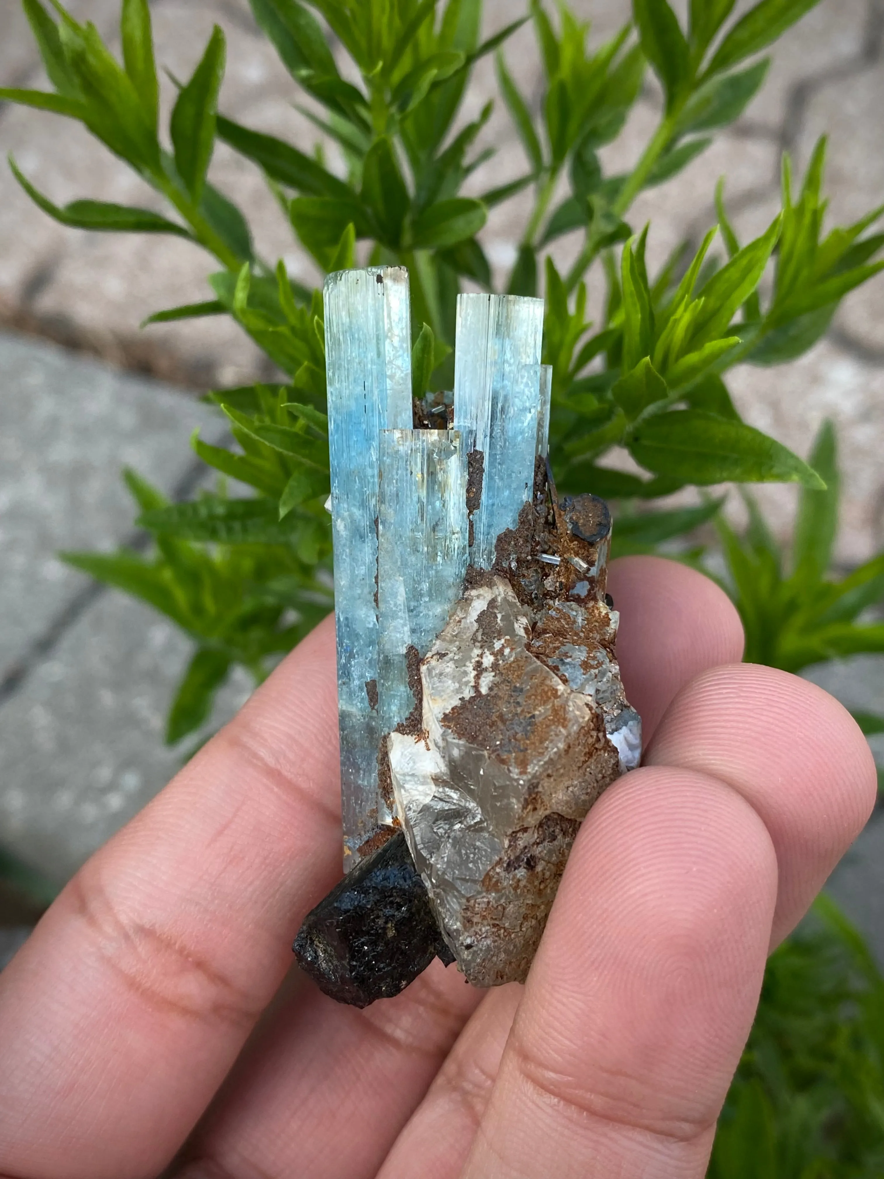 Aquamarine Specimen with Black Tourmaline from Erongo Mountain, Erongo Region, Namibia