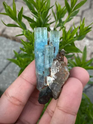 Aquamarine Specimen with Black Tourmaline from Erongo Mountain, Erongo Region, Namibia