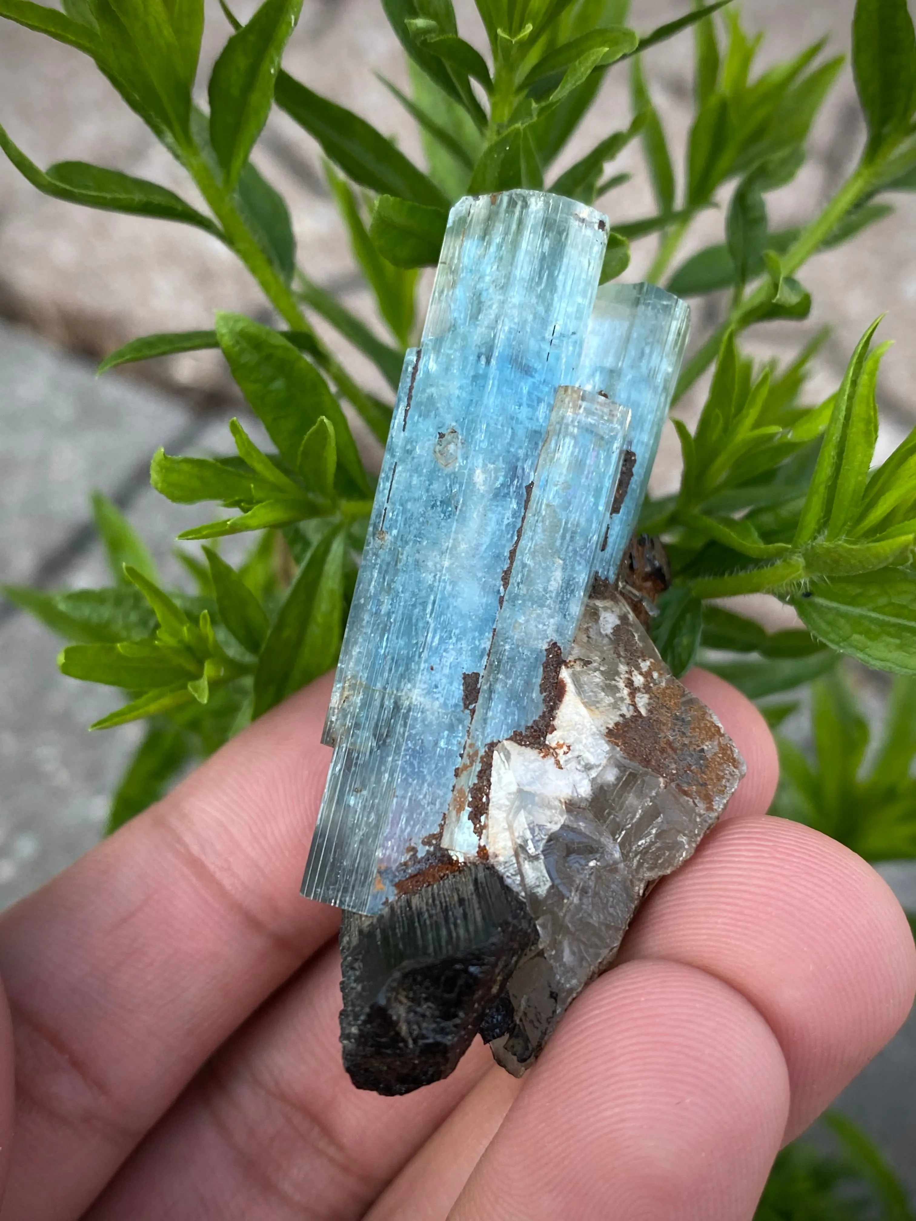 Aquamarine Specimen with Black Tourmaline from Erongo Mountain, Erongo Region, Namibia